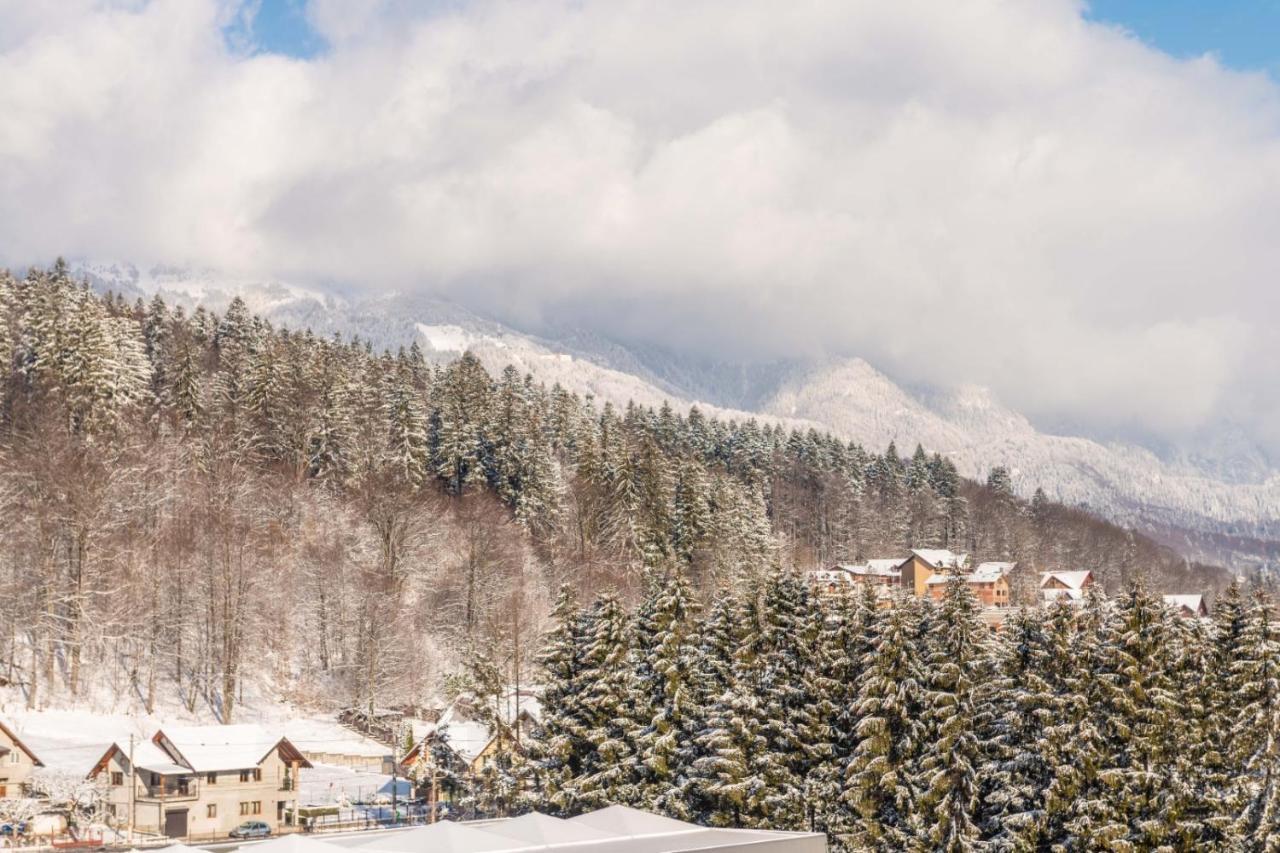 Apartmán Bucegi View 39 - Colina Marei Sinaia Exteriér fotografie